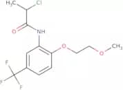 2-Chloro-N-[2-(2-methoxyethoxy)-5-(trifluoromethyl)phenyl]propanamide