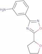 3-[5-(Oxolan-2-yl)-1,2,4-oxadiazol-3-yl]aniline