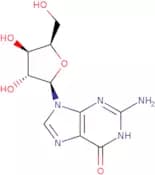9-(β-D-Xylofuranosyl)guanine