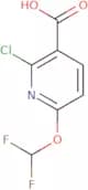 2-Chloro-6-(difluoromethoxy)pyridine-3-carboxylic acid