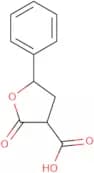 2-Oxo-5-phenyloxolane-3-carboxylic acid
