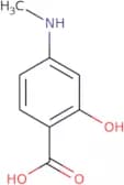 2-Hydroxy-4-(methylamino)benzoic acid