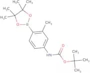 4-(Boc-Amino)-2-methylphenylboronic acid pinacol ester