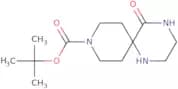tert-butyl 5-oxo-1,4,9-triazaspiro[5.5]undecane-9-carboxylate