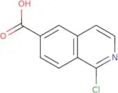 1-Chloroisoquinoline-6-carboxylic acid