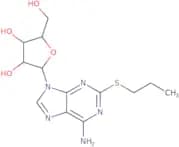 (2R,3R,4S,5R)-2-[6-Amino-2-(propylsulfanyl)-9H-purin-9-yl]-5-(hydroxymethyl)oxolane-3,4-diol