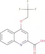 4-(2,2,2-Trifluoroethoxy)quinoline-2-carboxylic acid