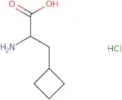 2-Amino-3-cyclobutylpropanoic acid hydrochloride