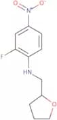 2-Fluoro-4-nitro-N-(oxolan-2-ylmethyl)aniline