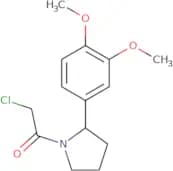 2-Chloro-1-[2-(3,4-dimethoxyphenyl)pyrrolidin-1-yl]ethan-1-one