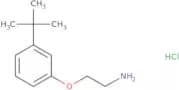 1-(2-Aminoethoxy)-3-tert-butylbenzene hydrochloride