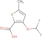 3-(Difluoromethoxy)-5-methylthiophene-2-carboxylic acid