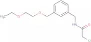 2-Chloro-N-({3-[(2-ethoxyethoxy)methyl]phenyl}methyl)acetamide
