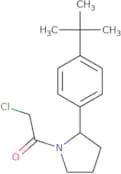 1-[2-(4-tert-Butylphenyl)pyrrolidin-1-yl]-2-chloroethan-1-one