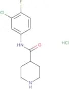 N-(3-Chloro-4-fluorophenyl)piperidine-4-carboxamide hydrochloride