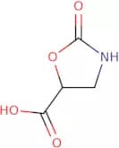 (5S)-2-Oxo-1,3-oxazolidine-5-carboxylic acid