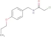 2-Chloro-N-[(4-propoxyphenyl)methyl]acetamide