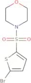 4-[(5-Bromothiophen-2-yl)sulfonyl]morpholine