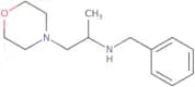 Benzyl[1-(morpholin-4-yl)propan-2-yl]amine