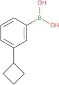 (3-Cyclobutylphenyl)boronic acid