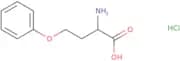 (2R)-2-Amino-4-phenoxybutanoic acid hydrochloride