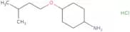(1R,4R)-4-(3-Methylbutoxy)cyclohexan-1-amine hydrochloride