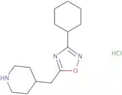 4-[(3-Cyclohexyl-1,2,4-oxadiazol-5-yl)methyl]piperidine hydrochloride
