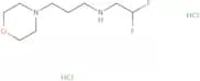 (2,2-Difluoroethyl)[3-(morpholin-4-yl)propyl]amine dihydrochloride