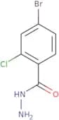 4-Bromo-2-chlorobenzhydrazide