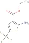 Ethyl 2-amino-5-(trifluoromethyl)thiophene-3-carboxylate