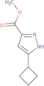 Methyl 3-cyclobutyl-1H-pyrazole-5-carboxylate