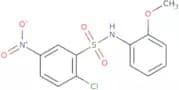 2-Chloro-N-(2-methoxyphenyl)-5-nitrobenzene-1-sulfonamide