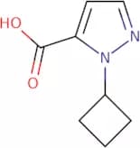 1-Cyclobutyl-1H-pyrazole-5-carboxylic acid