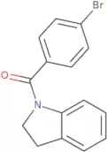 (4-Bromophenyl)-(2,3-dihydroindol-1-yl)methanone