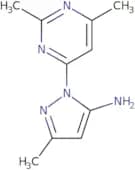 1-(2,6-Dimethylpyrimidin-4-yl)-3-methyl-1H-pyrazol-5-amine