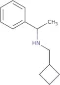 (Cyclobutylmethyl)(1-phenylethyl)amine