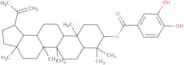 3,4-Dihydroxybenzoyllupeol