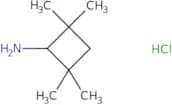 2,2,4,4-Tetramethylcyclobutan-1-amine hydrochloride