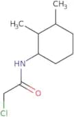 2-Chloro-N-(2,3-dimethylcyclohexyl)acetamide