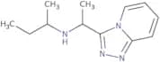 (Butan-2-yl)(1-{[1,2,4]triazolo[4,3-a]pyridin-3-yl}ethyl)amine