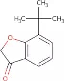 7-tert-Butyl-2,3-dihydro-1-benzofuran-3-one