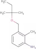 2-Methyl-3-{[(2-methylbutan-2-yl)oxy]methyl}aniline
