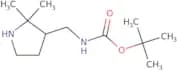 tert-Butyl N-[(2,2-dimethylpyrrolidin-3-yl)methyl]carbamate