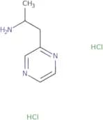 1-(Pyrazin-2-yl)propan-2-amine dihydrochloride