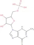 6-Methylthiopurine ribonucleotide