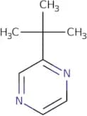 2-tert-Butylpyrazine