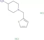 1-[(Thiophen-2-yl)methyl]piperidin-4-amine dihydrochloride