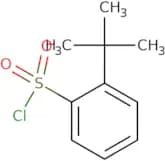 2-tert-Butylbenzene-1-sulfonyl chloride