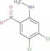 4,5-Dichloro-N-methyl-2-nitroaniline
