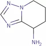 5H,6H,7H,8H-[1,2,4]Triazolo[1,5-a]pyridin-8-amine